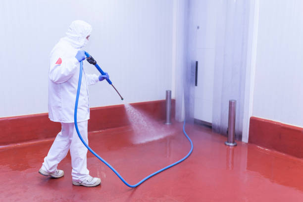 Best Building Exterior Washing  in Bothell East, WA