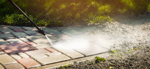 Boat and Dock Cleaning in Bothell East, WA